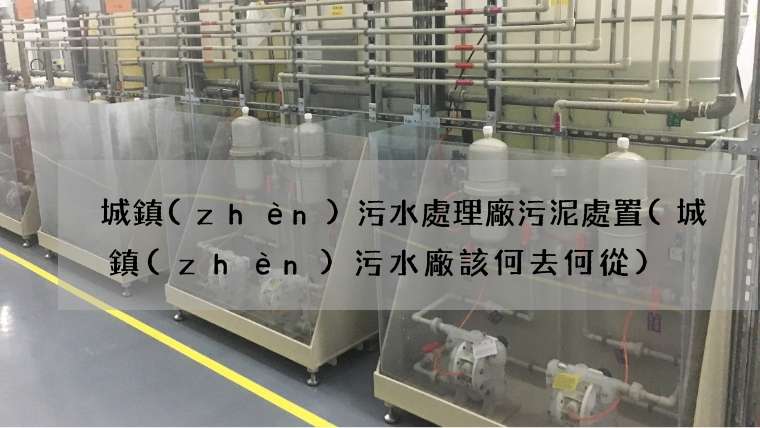 城鎮(zhèn)污水處理廠污泥處置(城鎮(zhèn)污水廠該何去何從)